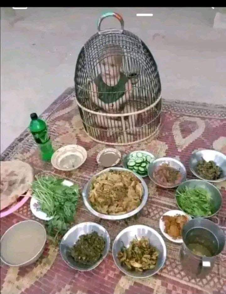 Wajid Mehmod