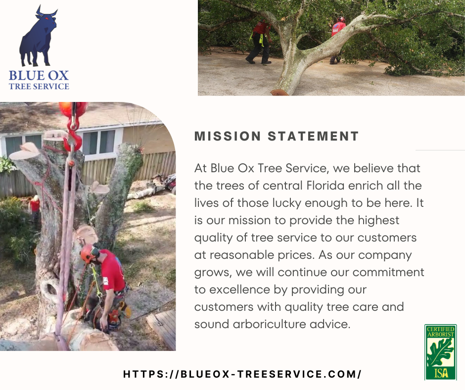 Blue Ox Tree Service