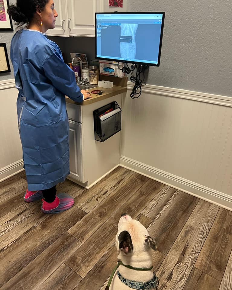 Pibble Ranch - Happy to share that Brunswick’s blood work...