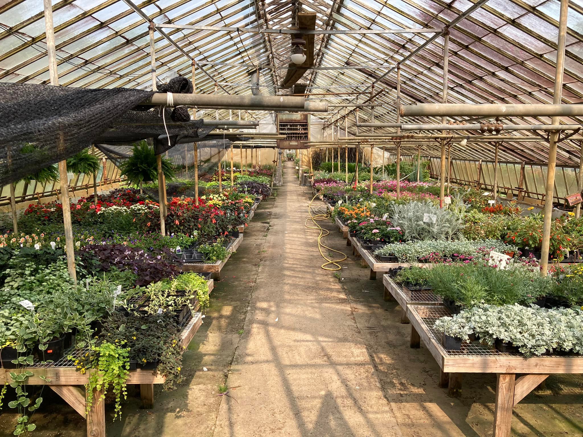 Chadds Ford Greenhouses Home