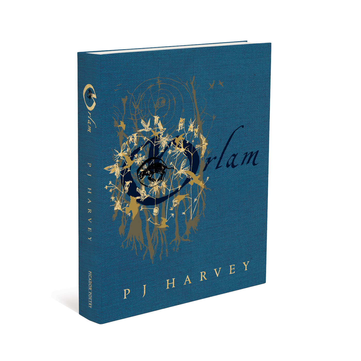 PJ Harvey - An illustrated hardback special edition of... | Facebook