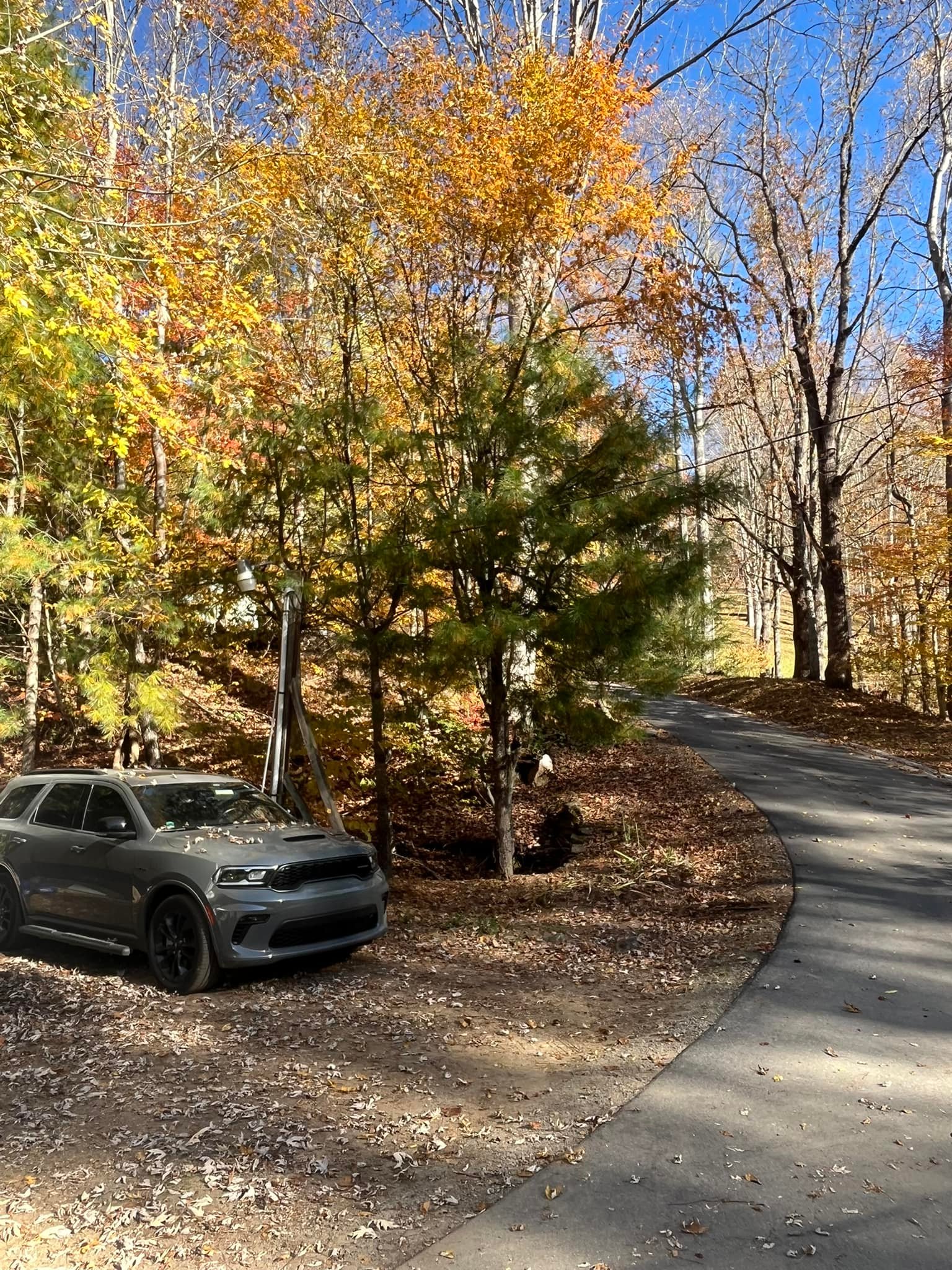 Homestead RV Park and Cottage
