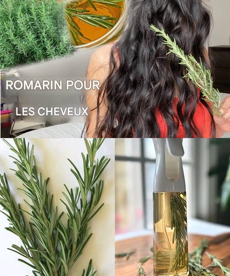 Spray à L'eau De Romarin Alps Goodness Pour Croissance Et Renforcement Des Cheveux - 2% - Fabriqué En Inde