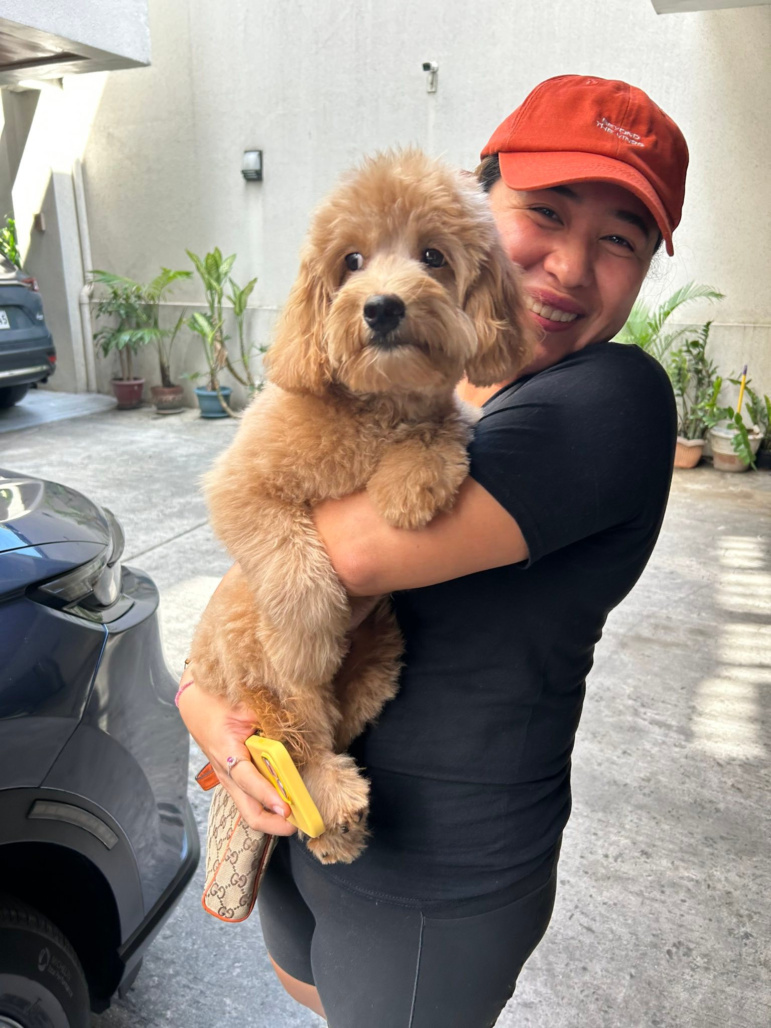 Four Paws Philippines | Quezon City