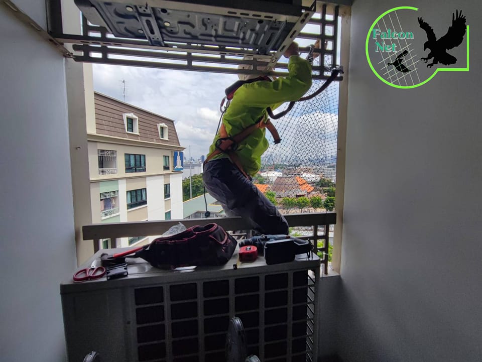 กันนก ว่าสำคัญแล้ว... - ตาข่ายกันนก Falcon Net