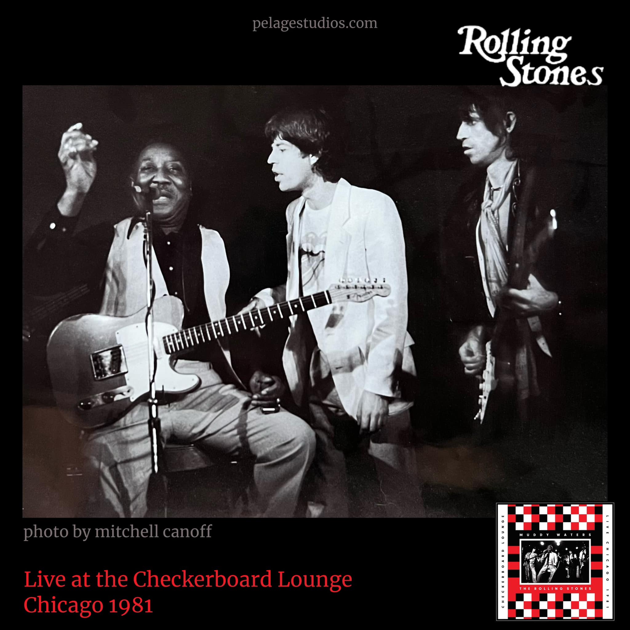 Muddy Waters live at Checkerboard Lounge in 1981