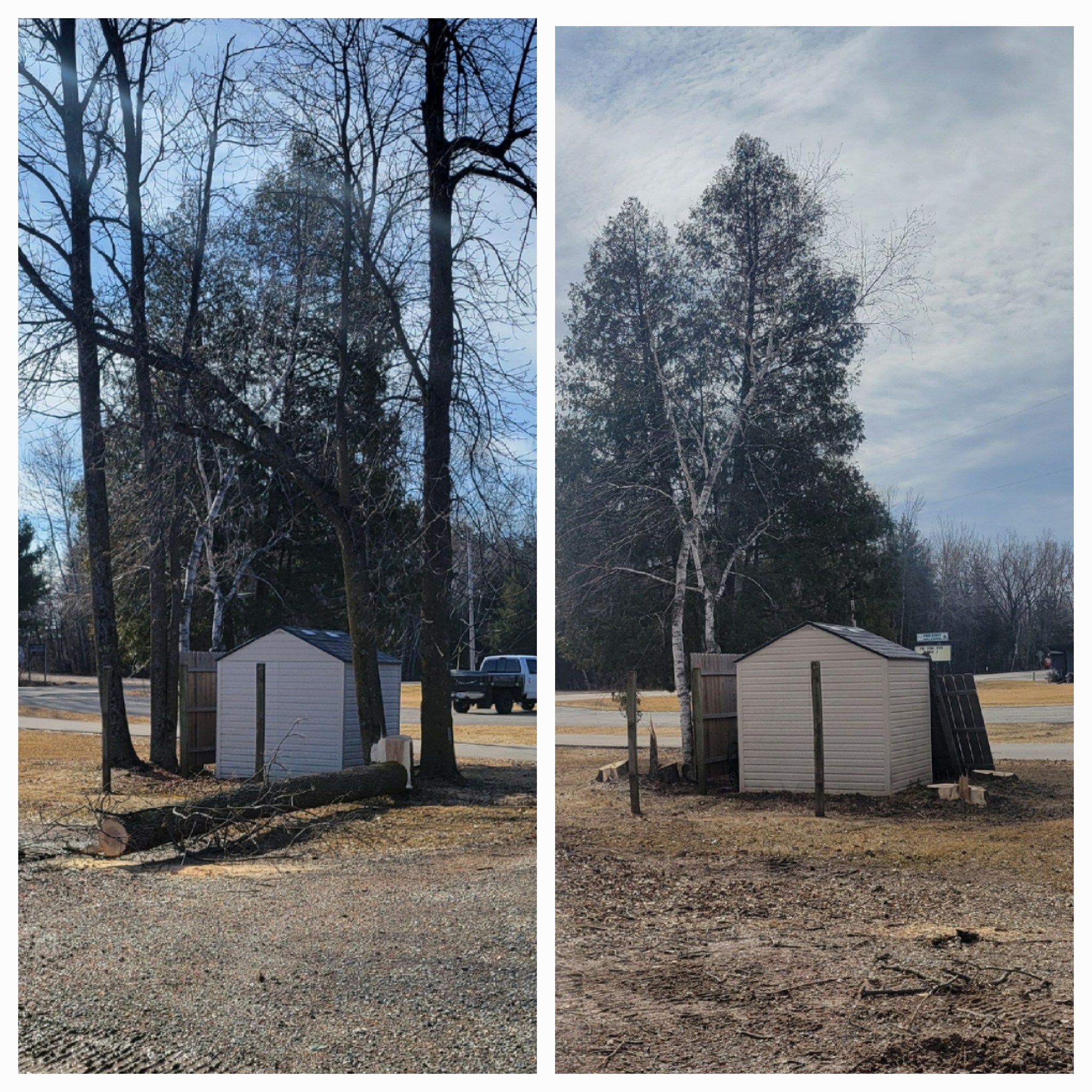 Versatile - Had some troublesome ash trees creating a mess. Heres a ...