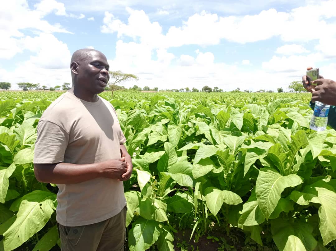 MBC - #Update Managing Director of Namuleri Farms, Simplex Chithyola ...