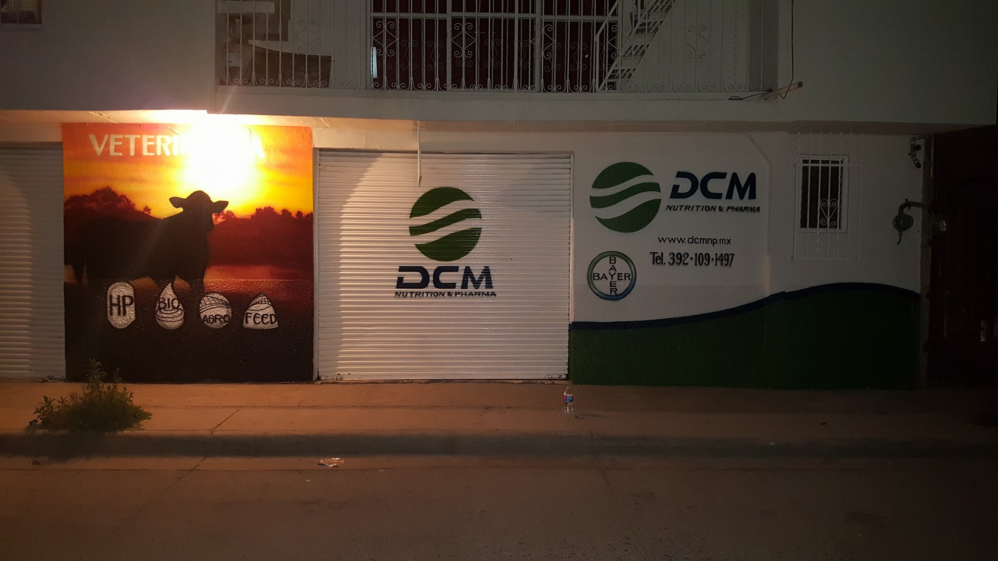 D&L Dibujos y Letras | Ocotlán