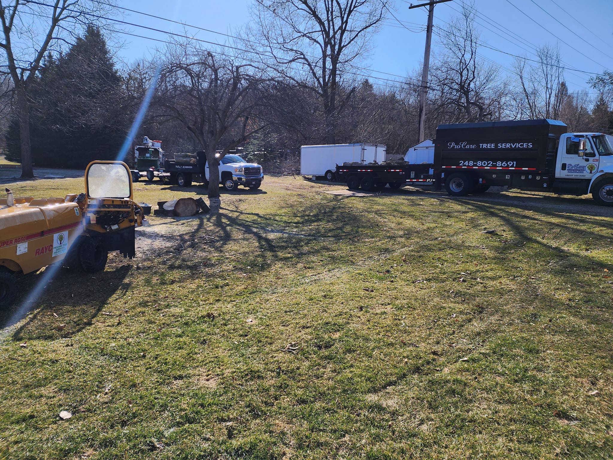 ProCare Tree services | Auburn Hills MI