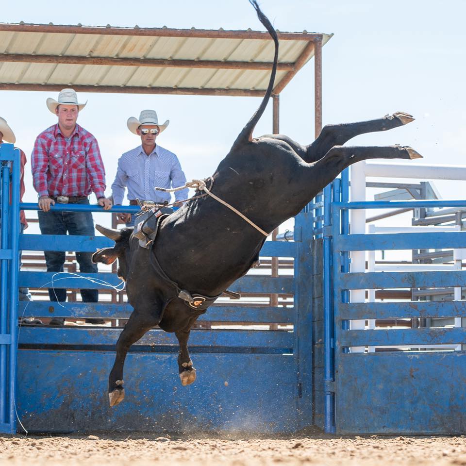 Rafter KL Bucking Bulls | Prague OK