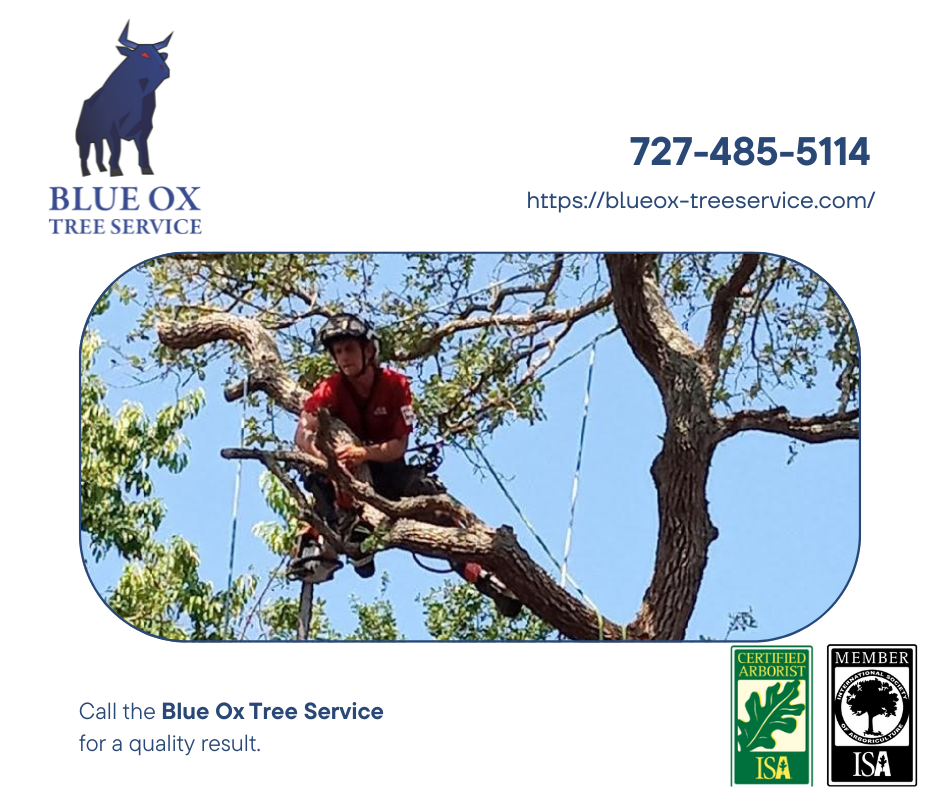 Blue Ox Tree Service