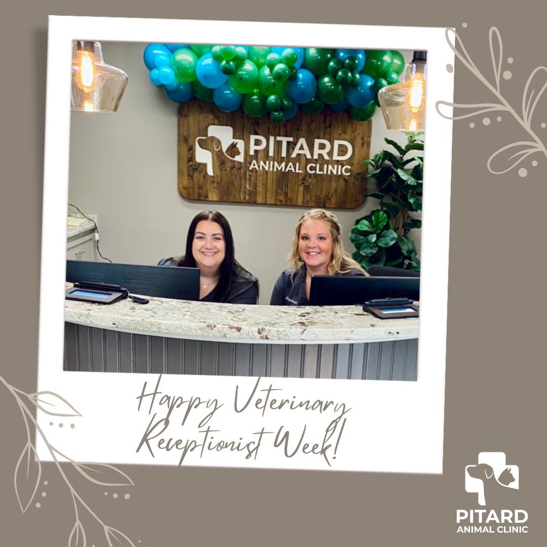 Pitard - 🤩 Happy Veterinary Receptionist Week AND Administrative ...