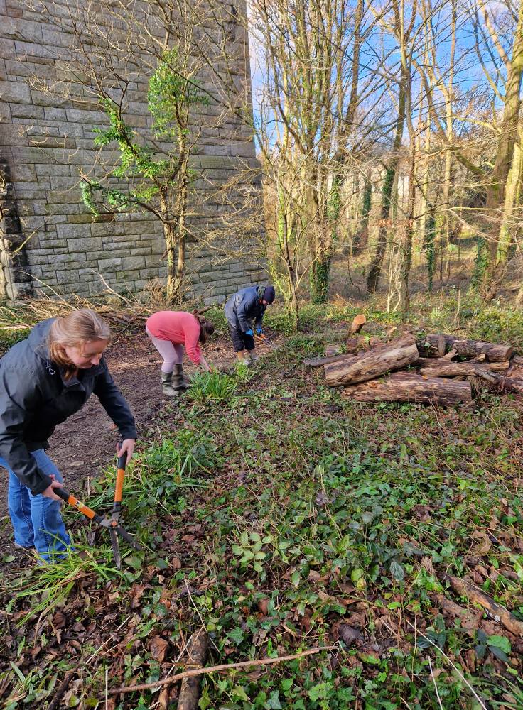 Truro's Countryside Rangers | Truro