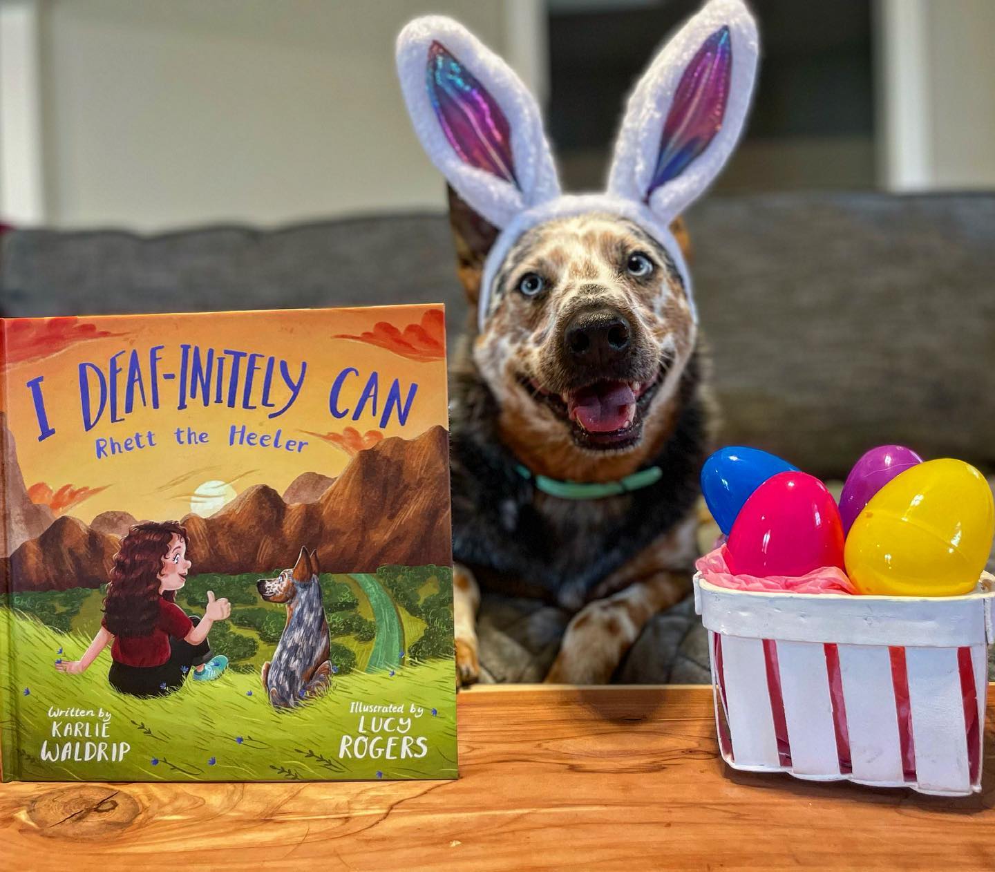 rhett_the_heeler - Some bunny loves you🐰 Easter is around the corner ...