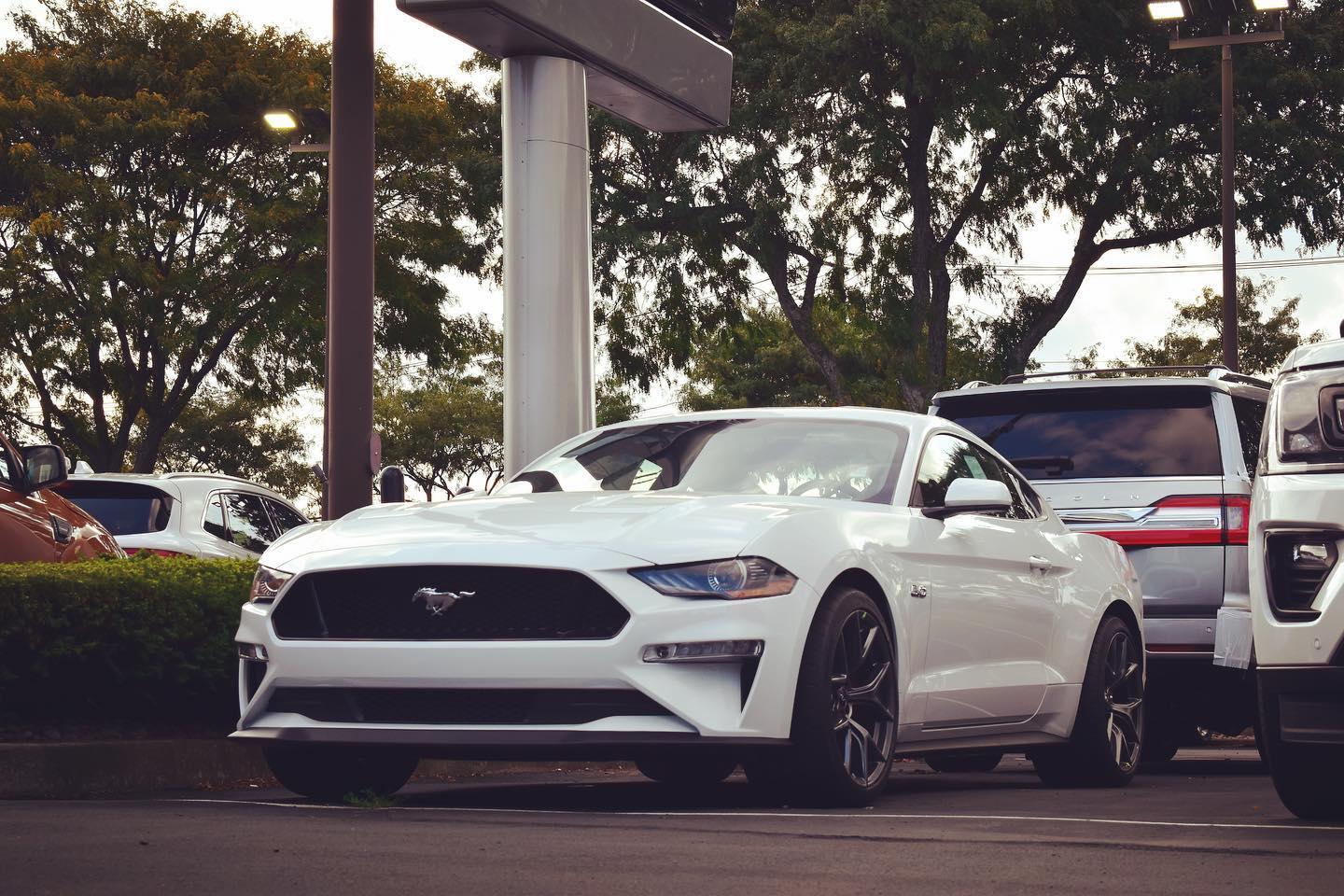 Performance Package... Schultz Ford of West Haverstraw Facebook