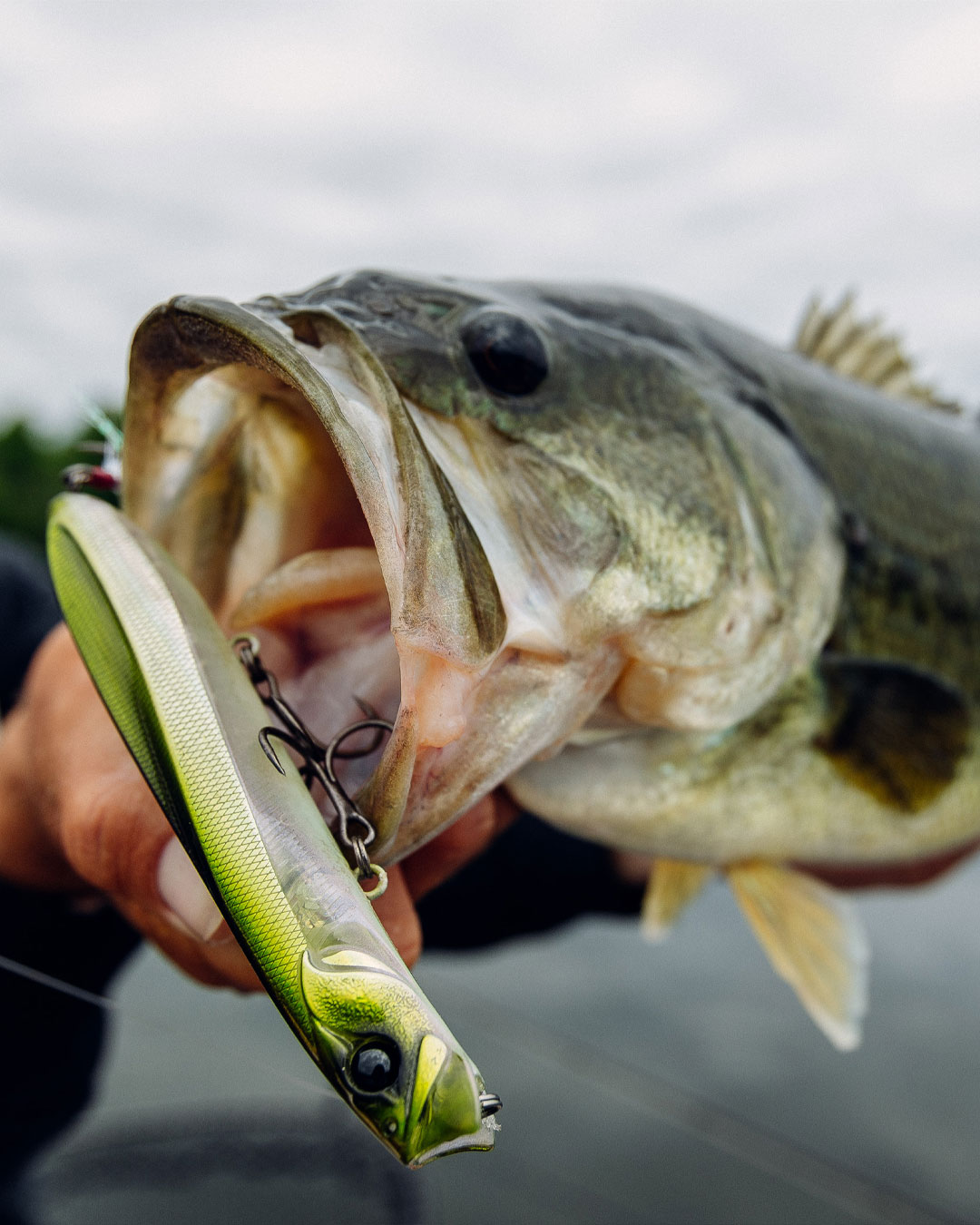 2018 fishing reels Feather Chromium Spinning Reels, Red / Left/Right / Size: 2500 Our Most Technologically Advanced Rare ABU GARCIA Baitcasting Model:SP4000 Gear Ratio:5.6