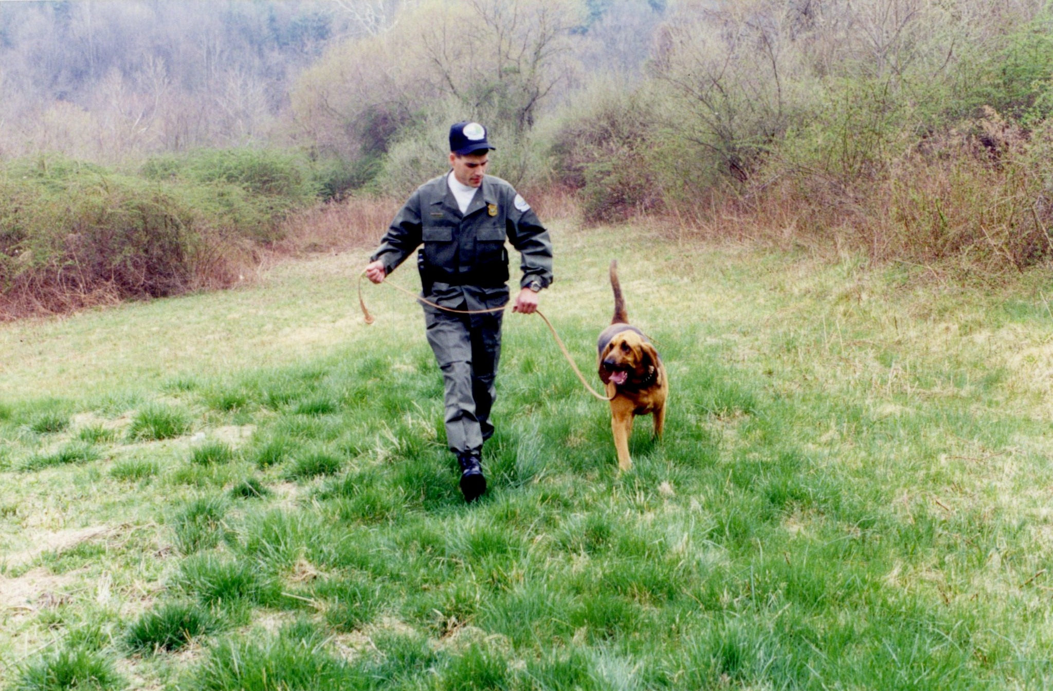 K9 Ruby was the... - Delaware Natural Resources Police | Facebook