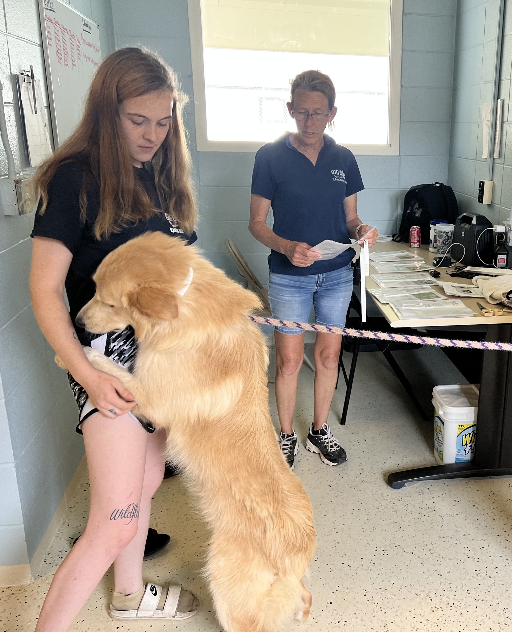 🐾Our incredible staff at Big Dog... - Big Dog Ranch Rescue | Facebook