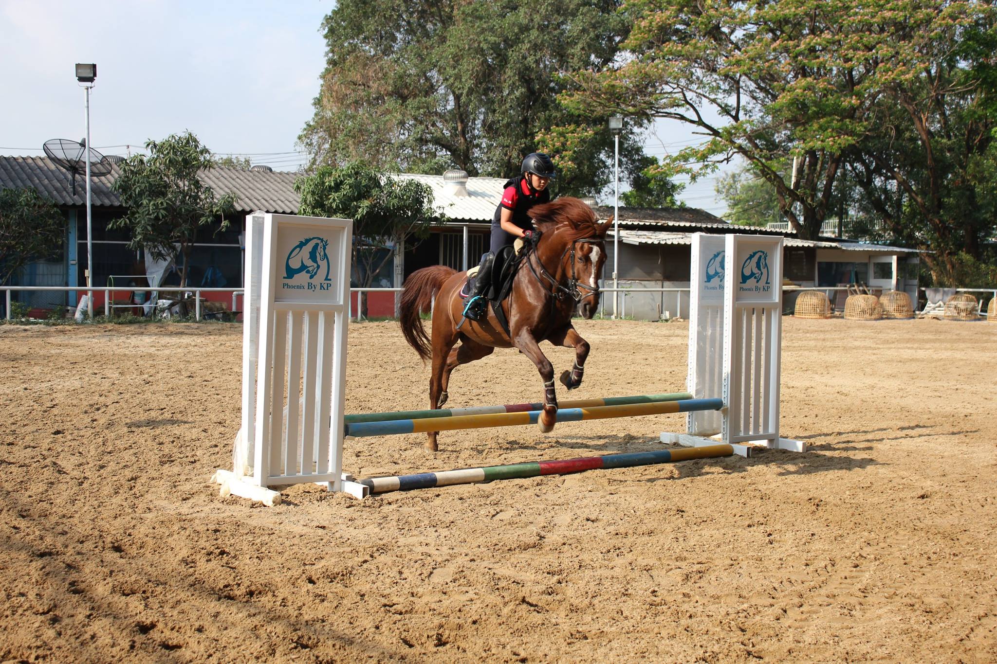 We were getting ready for... - Phoenix Riding Academy By KP