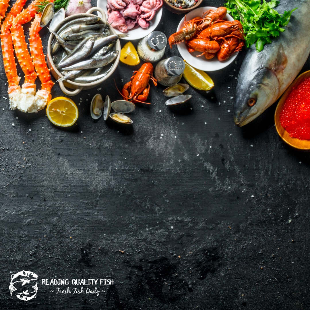 Reading Quality Fish | Reading