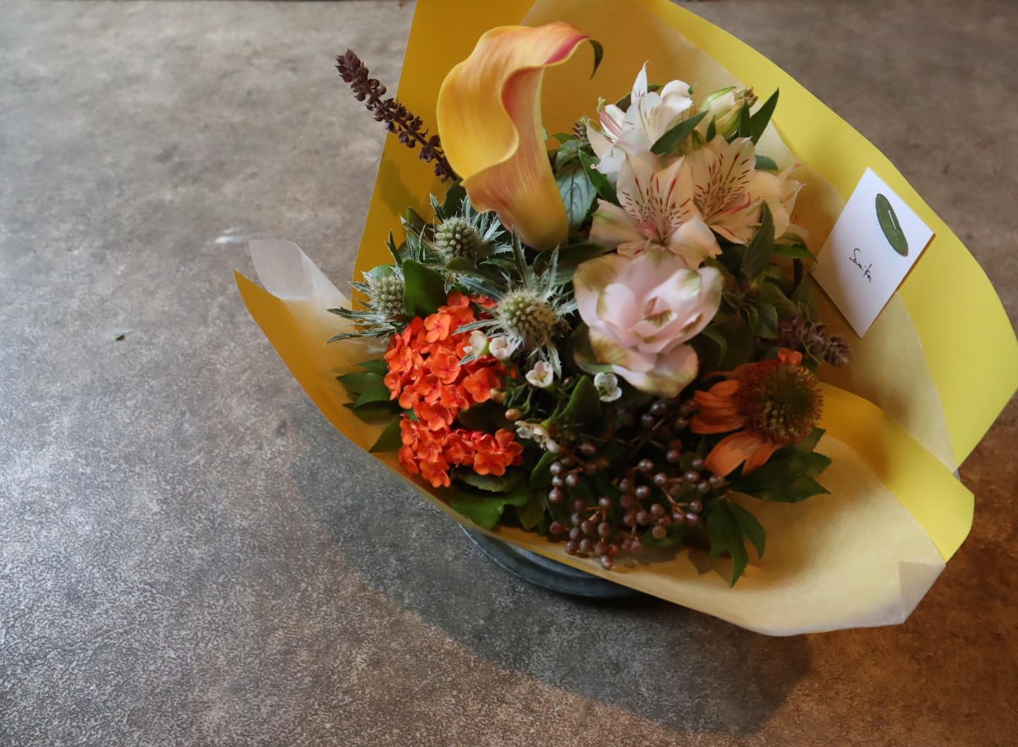 Sumika 花と植物 Home Facebook