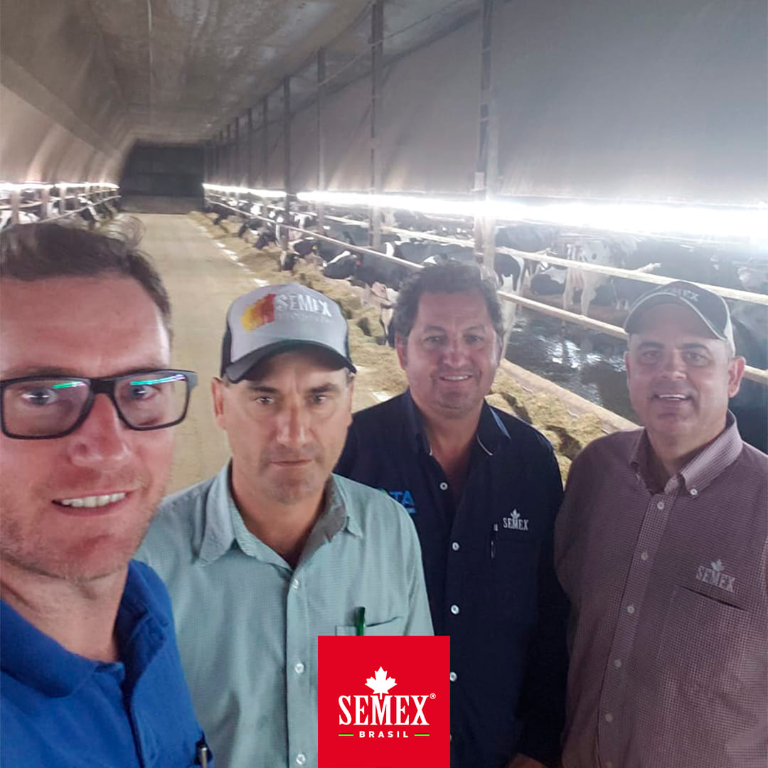 Semex Brasil - A Fazenda Santa Carla, do proprietário...