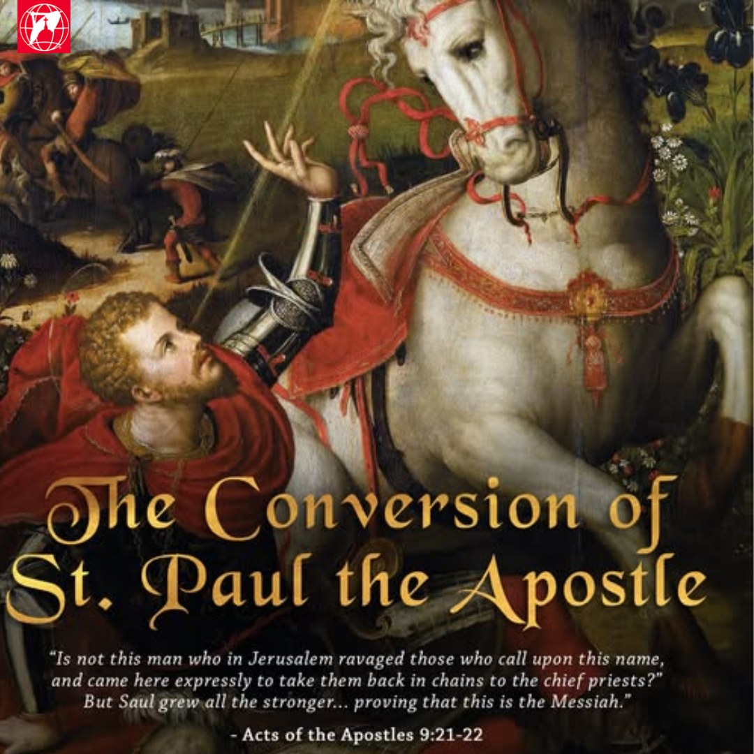 EWTN - From Persecutor to Apostle: The Conversion of St. Paul ️🔥 📅 ...