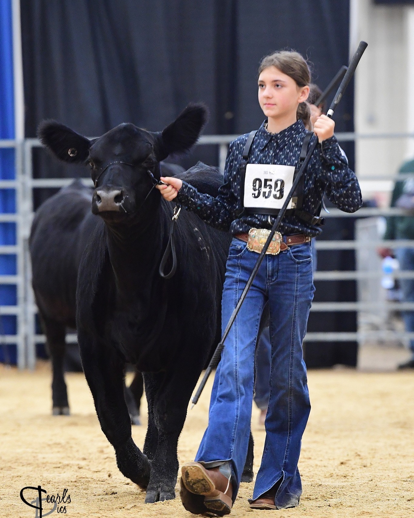 Express Ranches - Congratulations to all the exhibitors at...