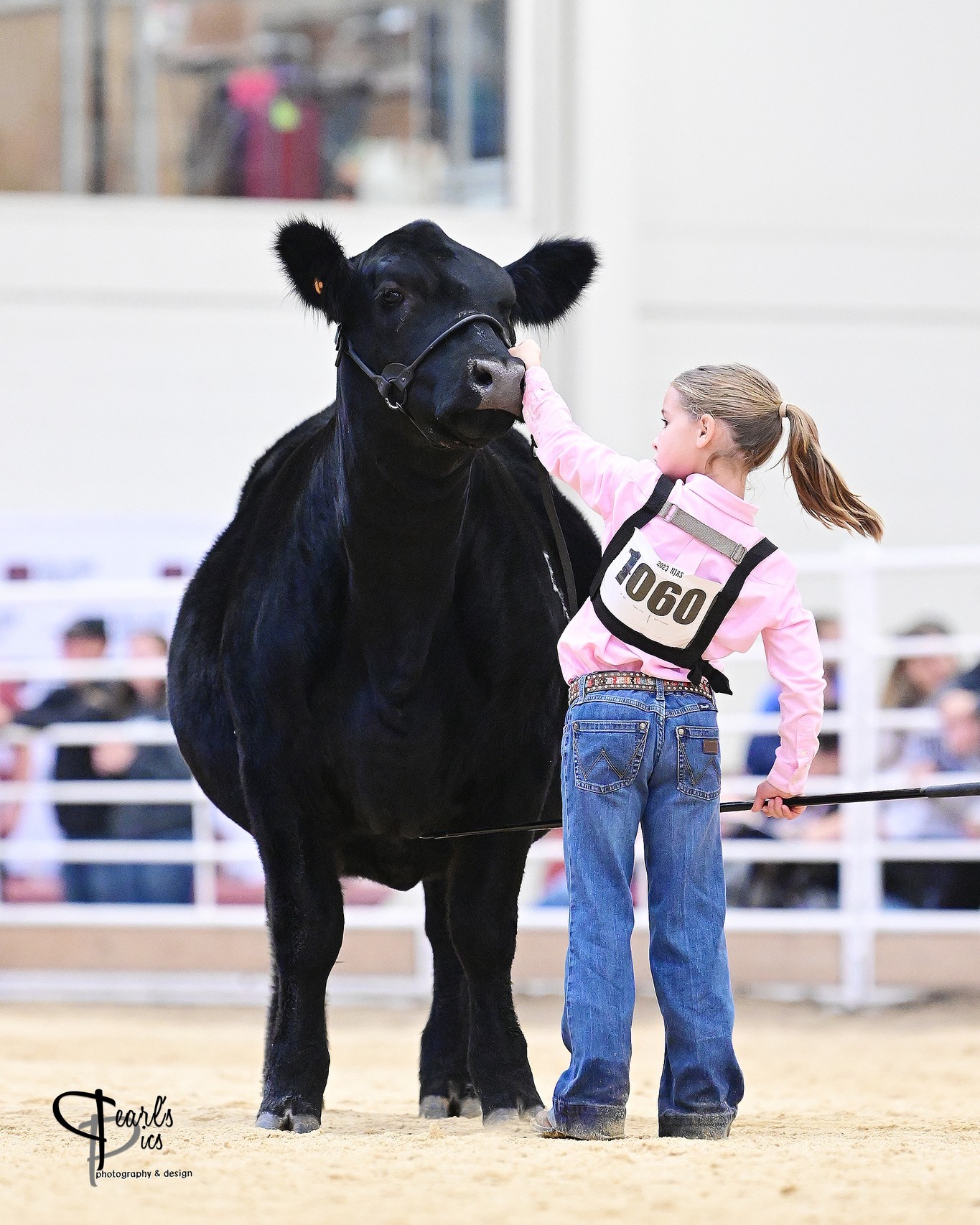 Express Ranches - Congratulations to all the exhibitors at...