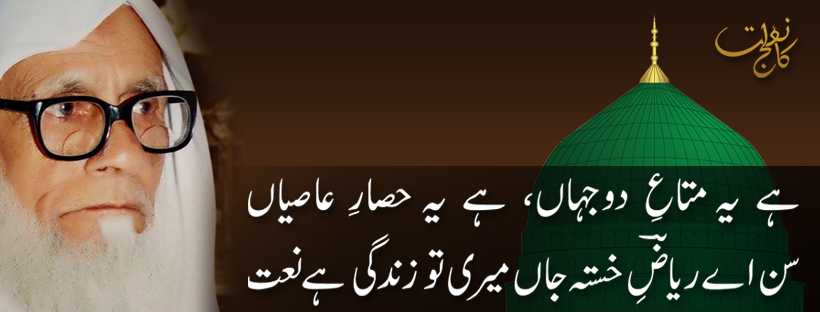 Allama Syed Muhammad Riazuddin Soharwardi