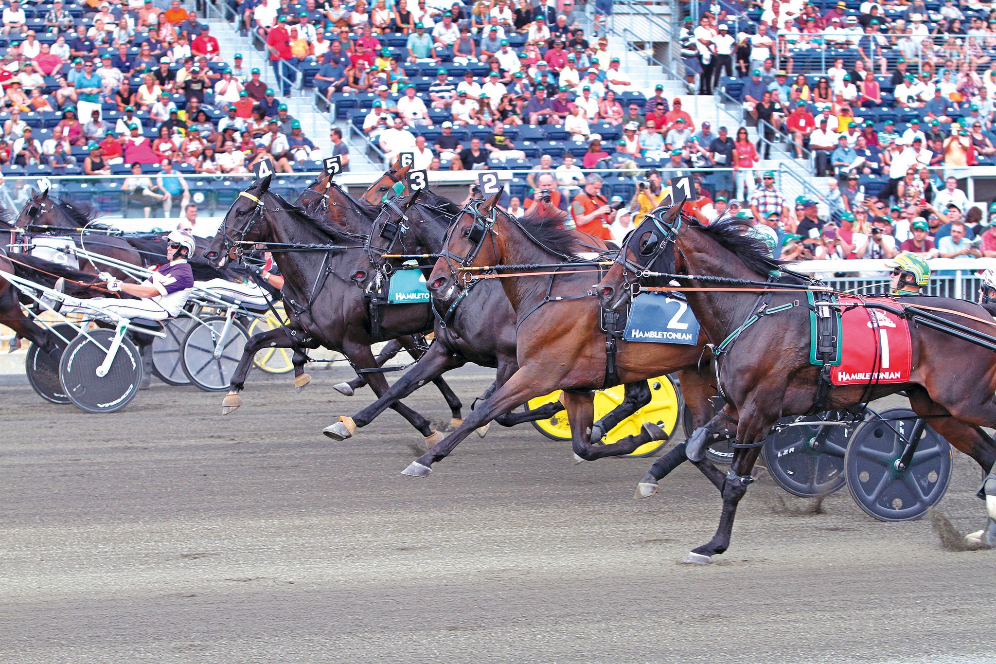 HarnessRacing.com - Have you ever wanted to own a racehorse? Learn more ...