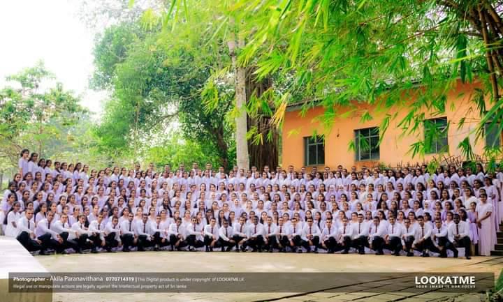 Hashini Gamage