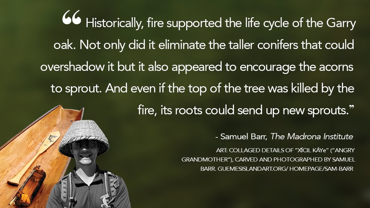 “Historically, fire supported... - The Nonprofit Quarterly