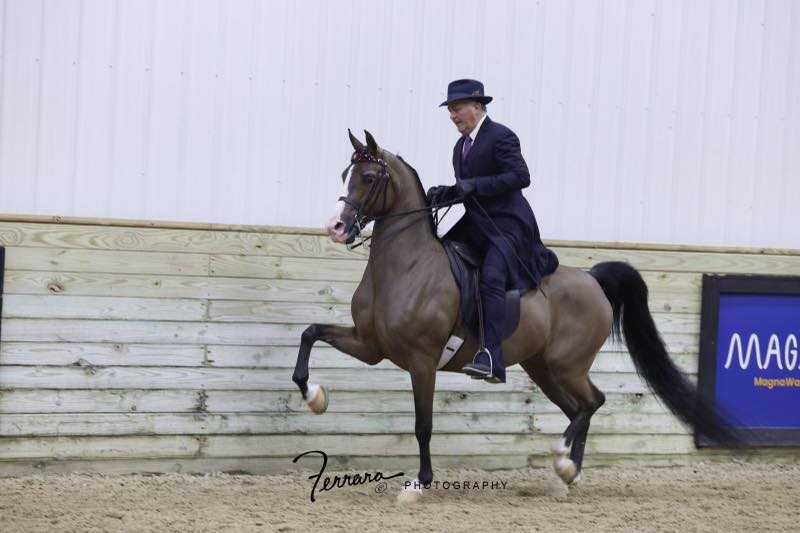 Keystone Cattle & Performance Horses - Keystone Ranch in Redmond, OR is ...