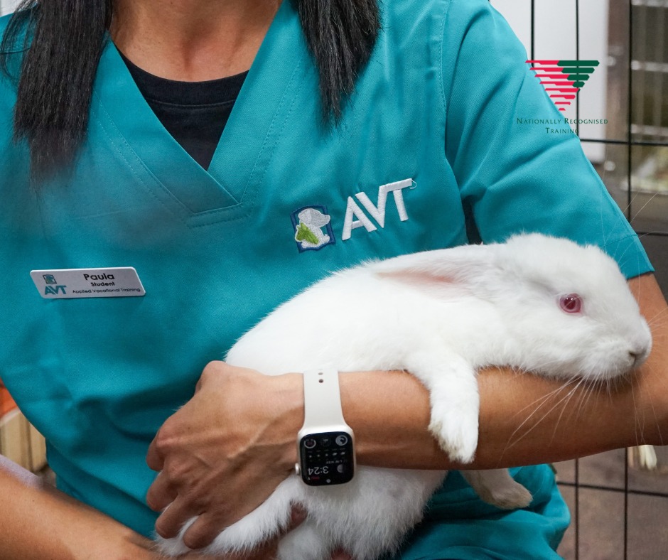 Did you know bunnies have a... - Applied Vocational Training | Facebook