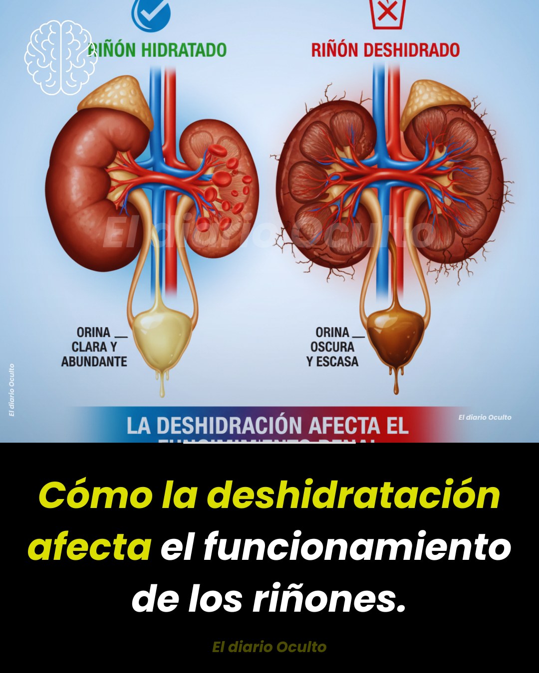 otlalli-spa-kinesiol-gico-facebook