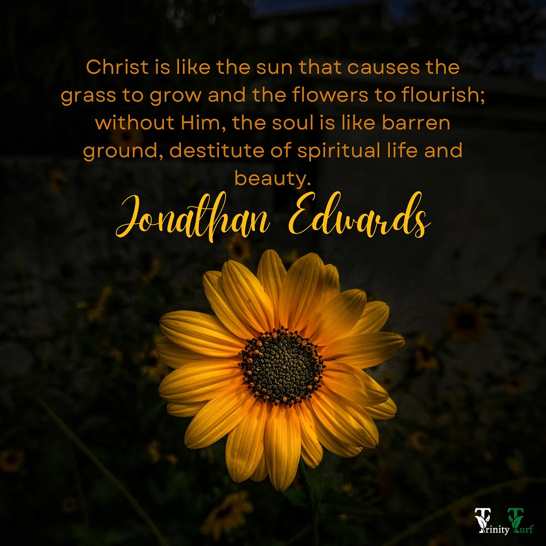 Trinity - Christ is like the ☀️sun☀️ that causes the grass to grow and ...