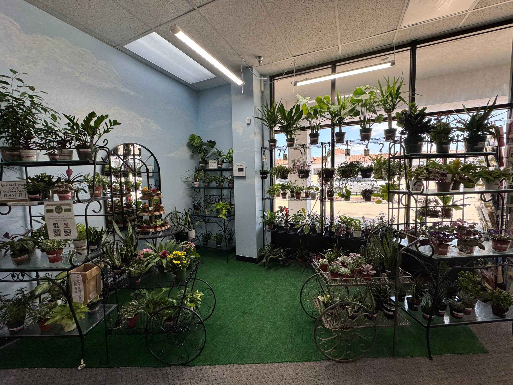 Native Roots Perennial Farm and Garden | Sanger TX