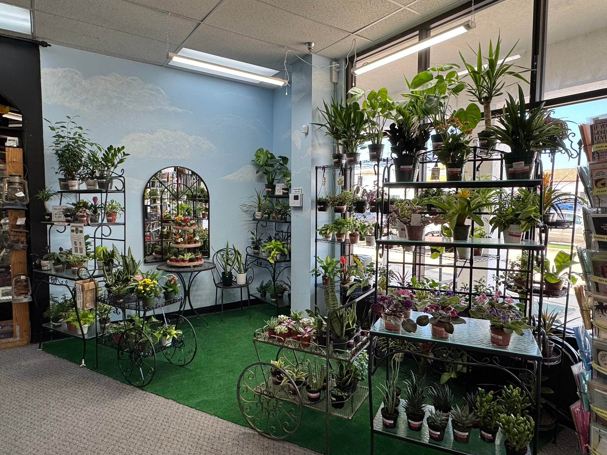 Native Roots Perennial Farm and Garden | Sanger TX