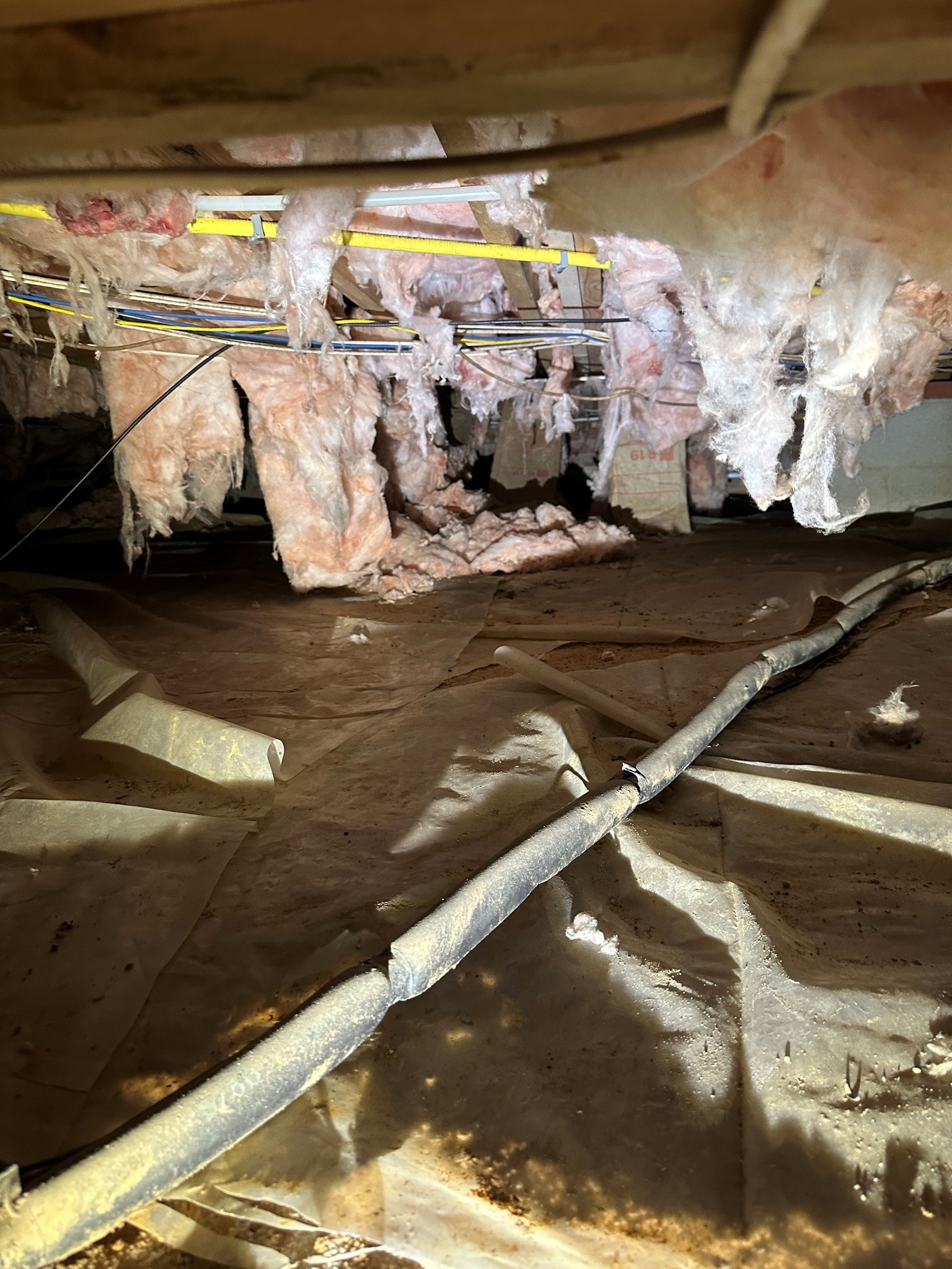 Crawl Space & Basement Technologies | Raleigh NC