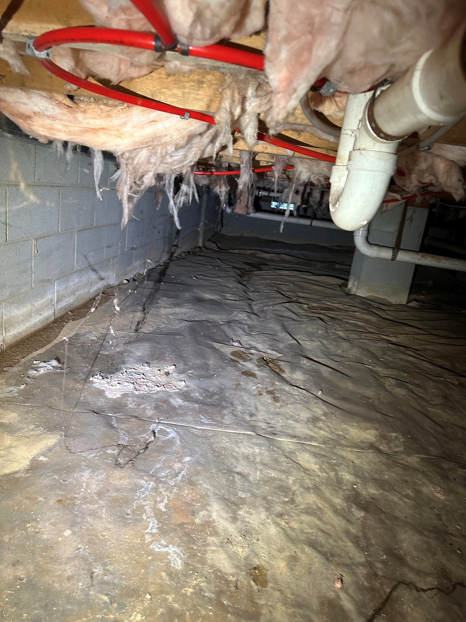 Crawl Space & Basement Technologies | Raleigh NC