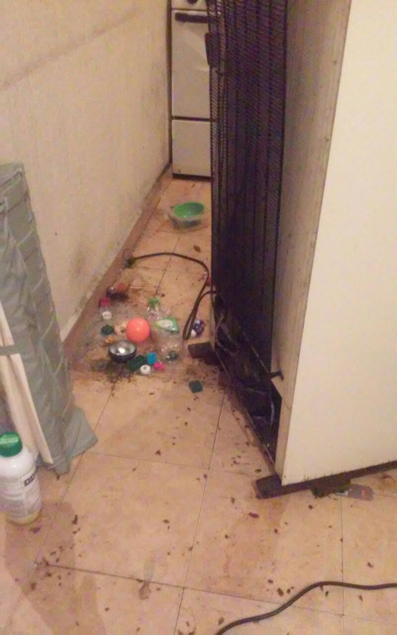 Ingenieria En Servicios De Fumigacion