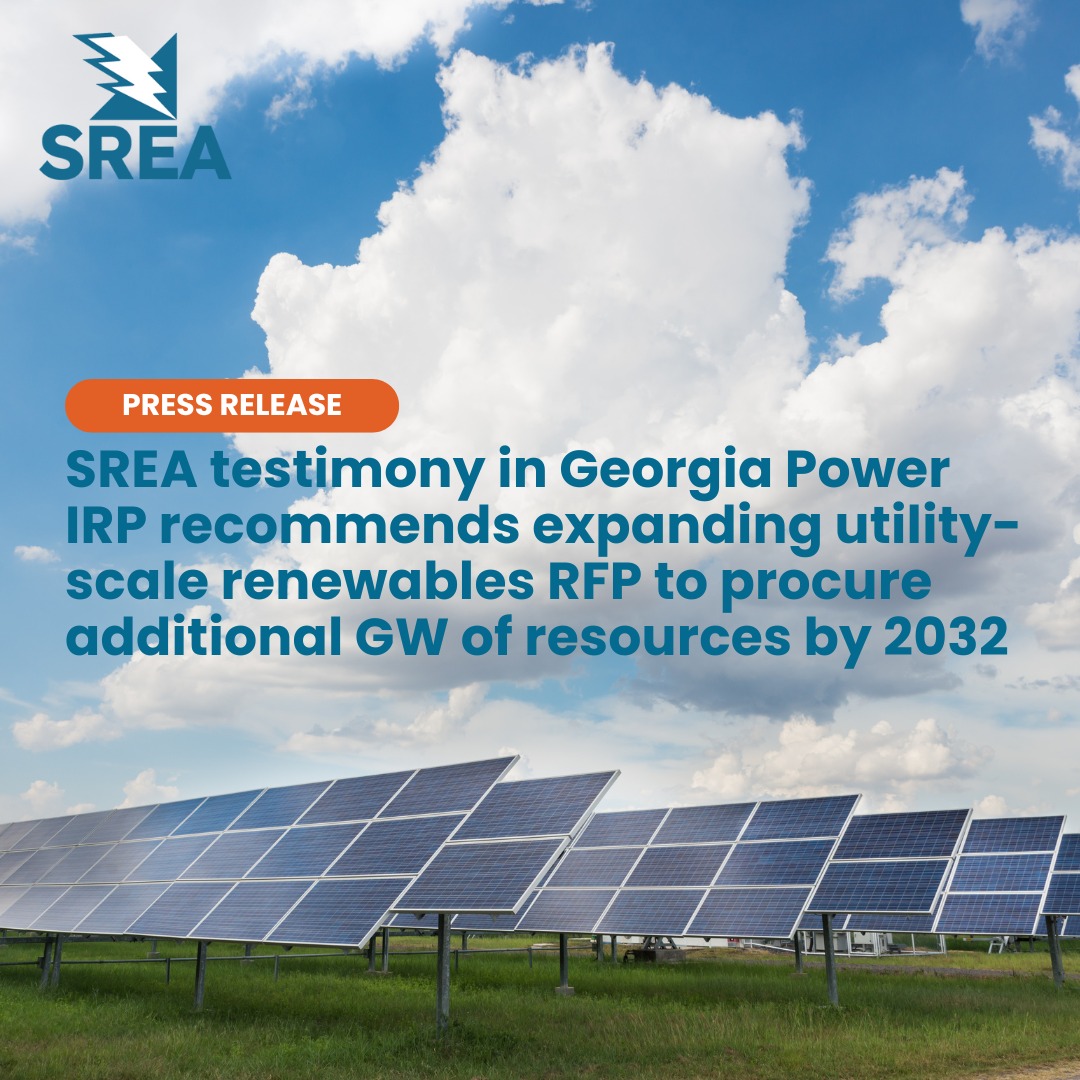 Southerners - Direct testimony on behalf of SREA in the Georgia Power ...