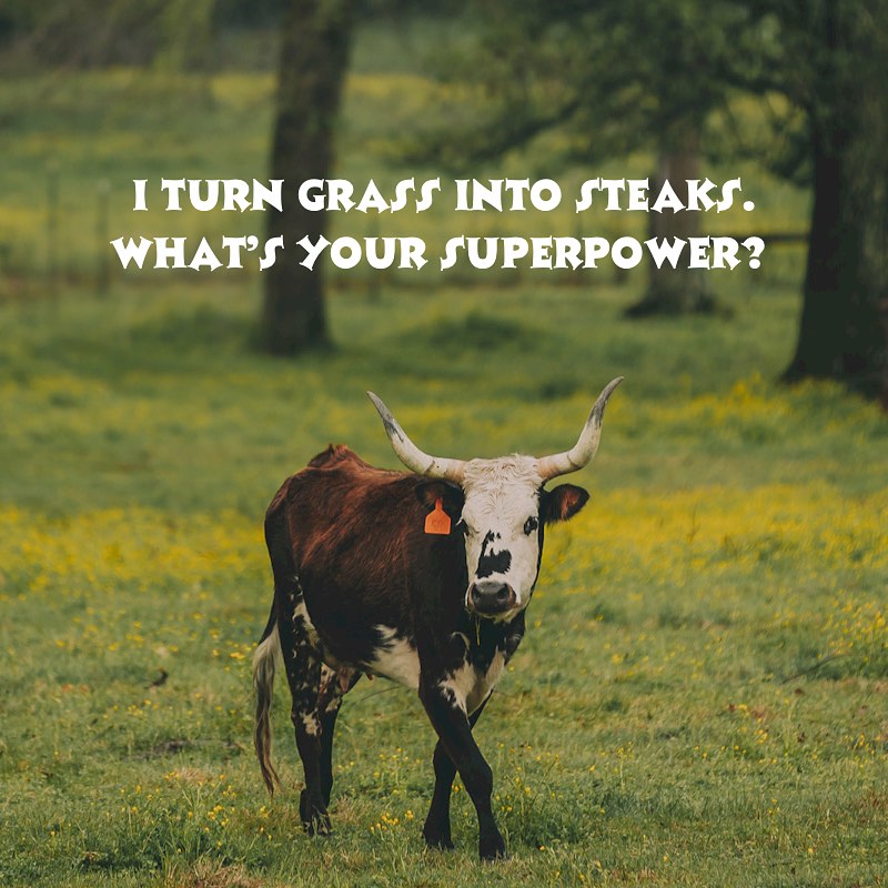 ZK Ranches - Did you know? We offer both grass fed and...