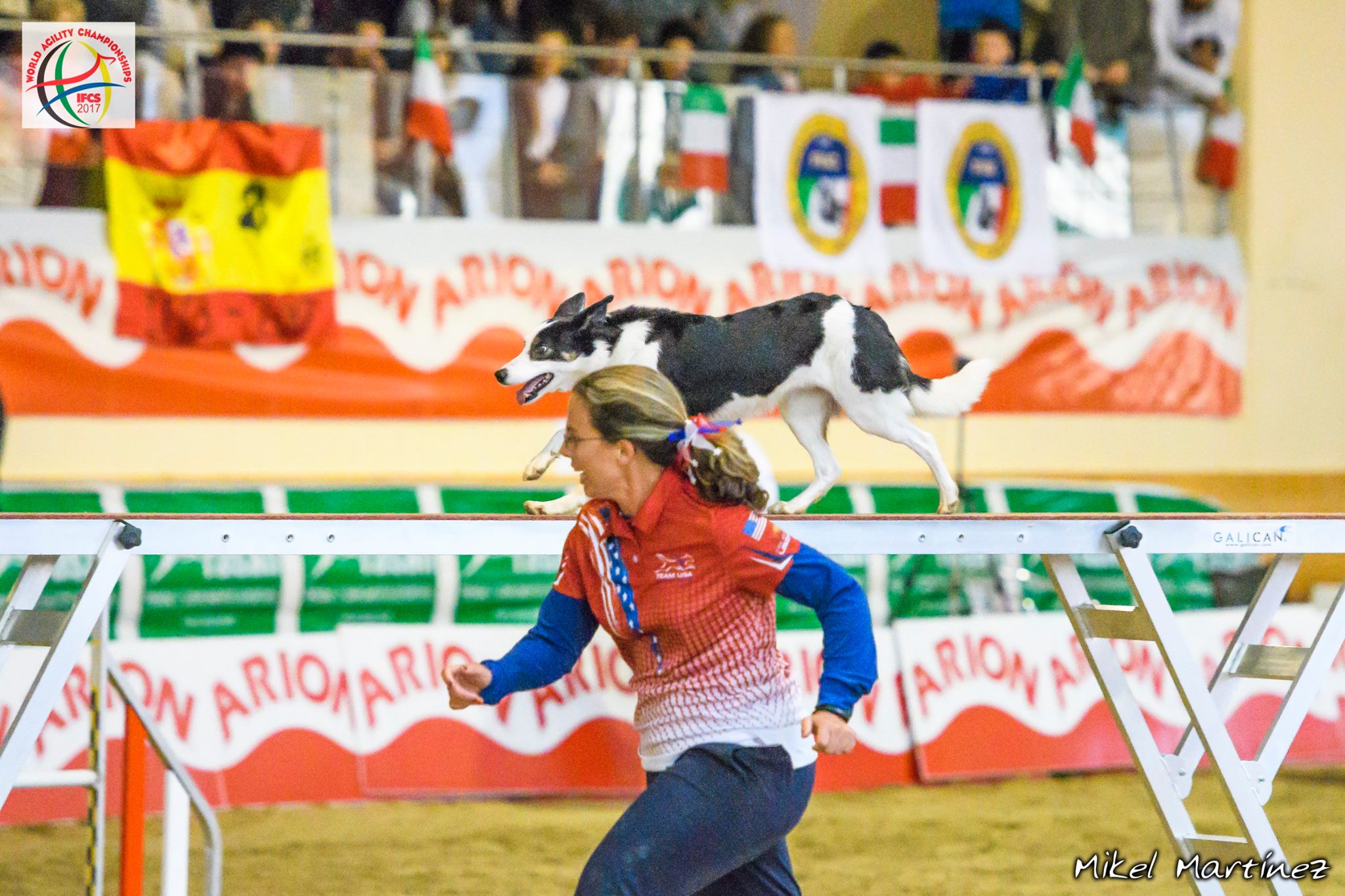 Dear agility friends! @followers We... - Unstoppable Agility | Facebook