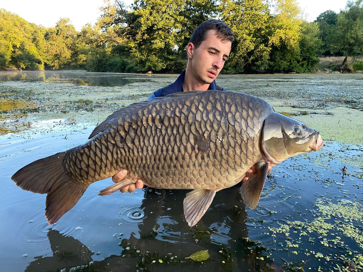 Carp crew
