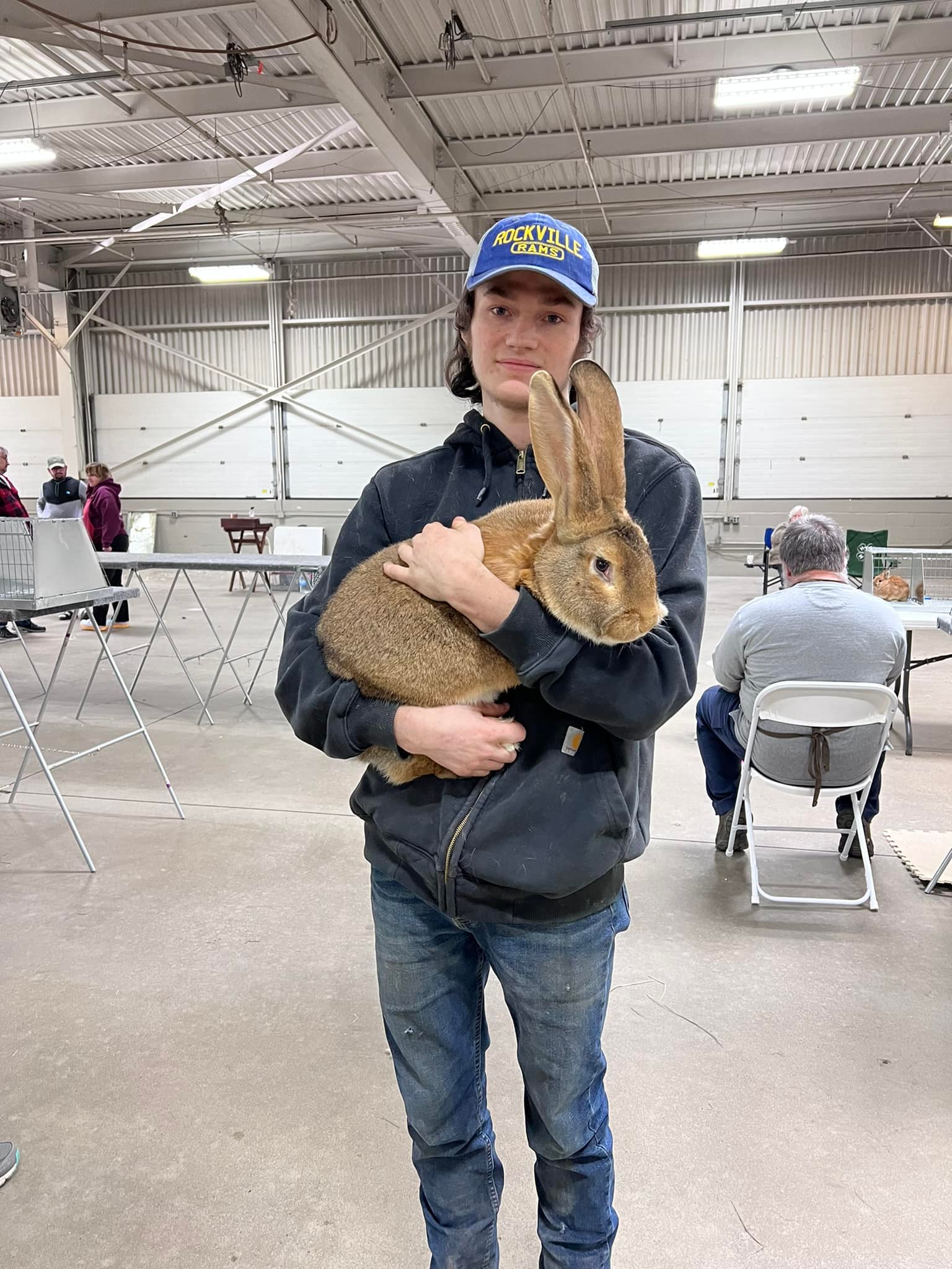 James’ Backyard Bunnies | Vernon Rockville CT