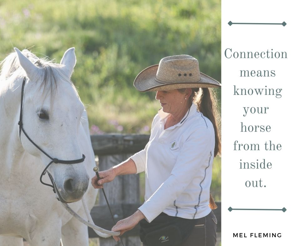 Connecting - CONNECTION - It's the buzz word in horsemanship at the ...
