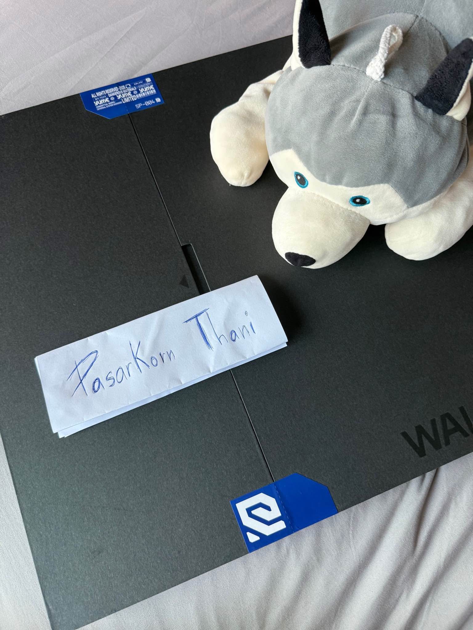 世界999枚限定品】WALLHACK SP-004 Gravity Yume Skypad Wallhack SP
